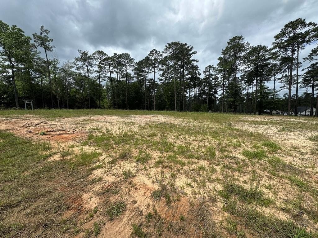 1 acres in Texas County - photo 6
