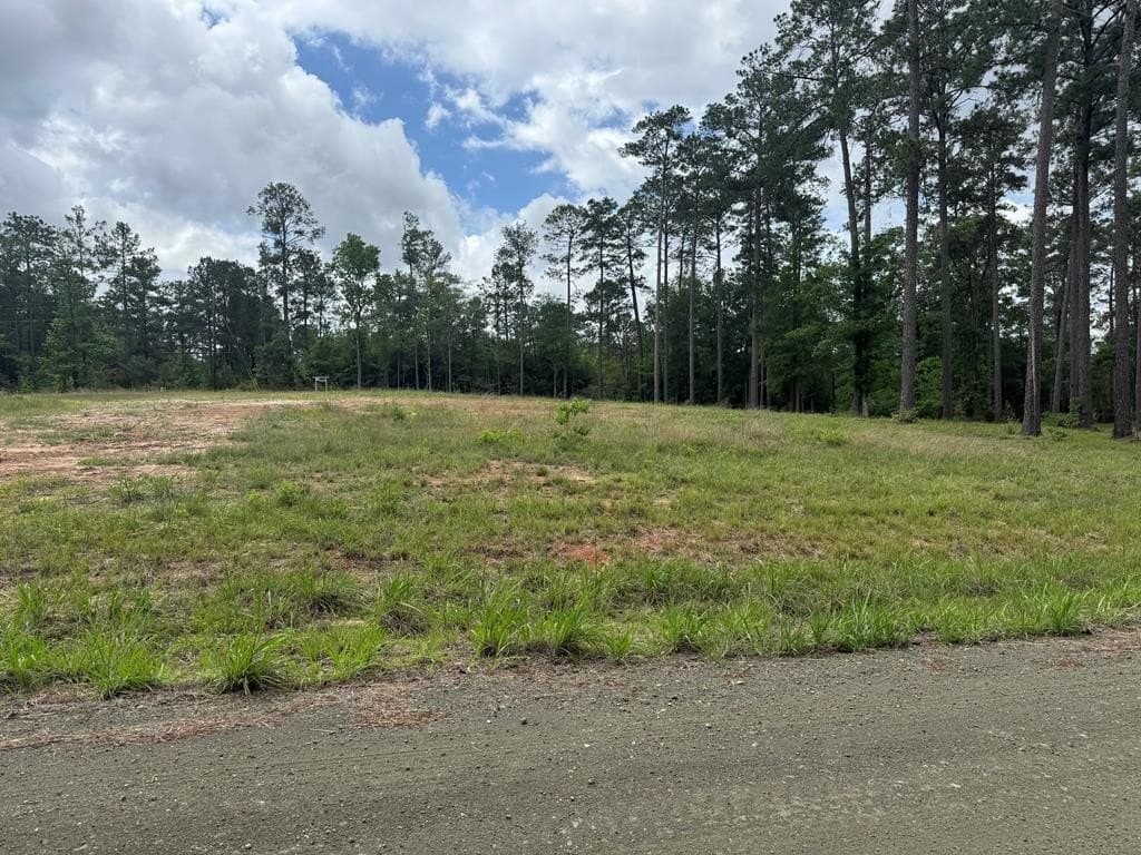 1 acres in Texas County - photo 11