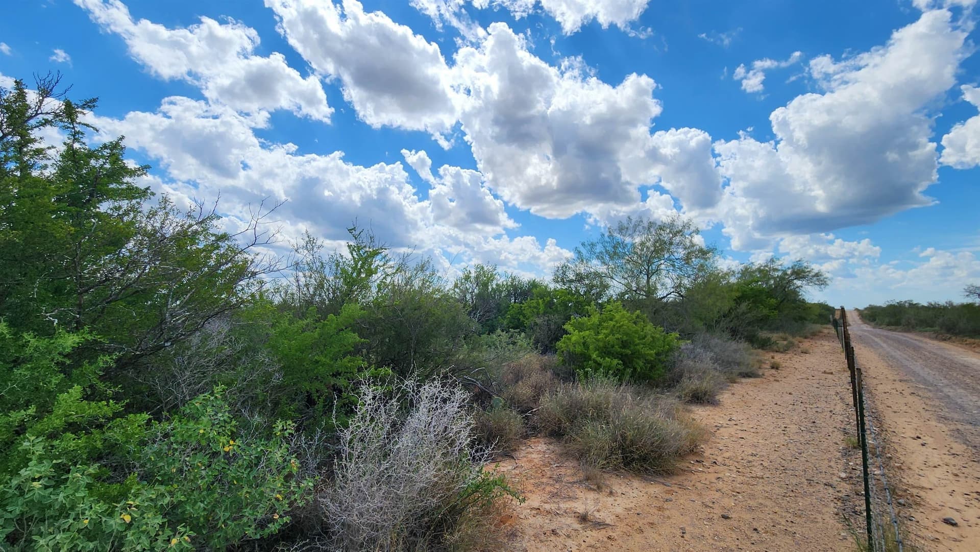 11.5 acres in Webb County gallery image 3