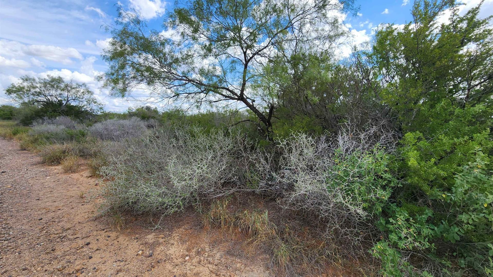 11.5 acres in Webb County featured view