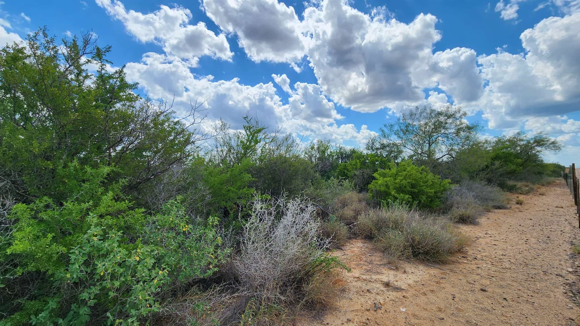 11.5 acres in Webb County gallery image 4