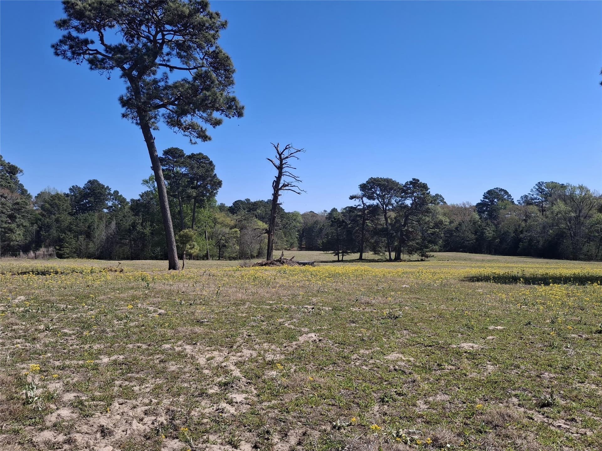 68.82 acres in Cherokee County featured view