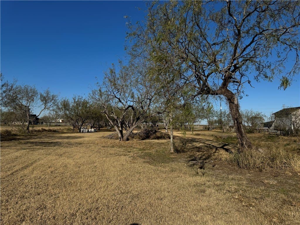 3.18 acres in San Patricio County - photo 5
