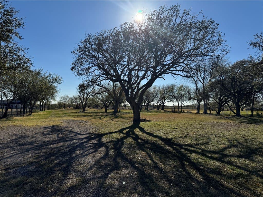 3.18 acres in San Patricio County - photo 3