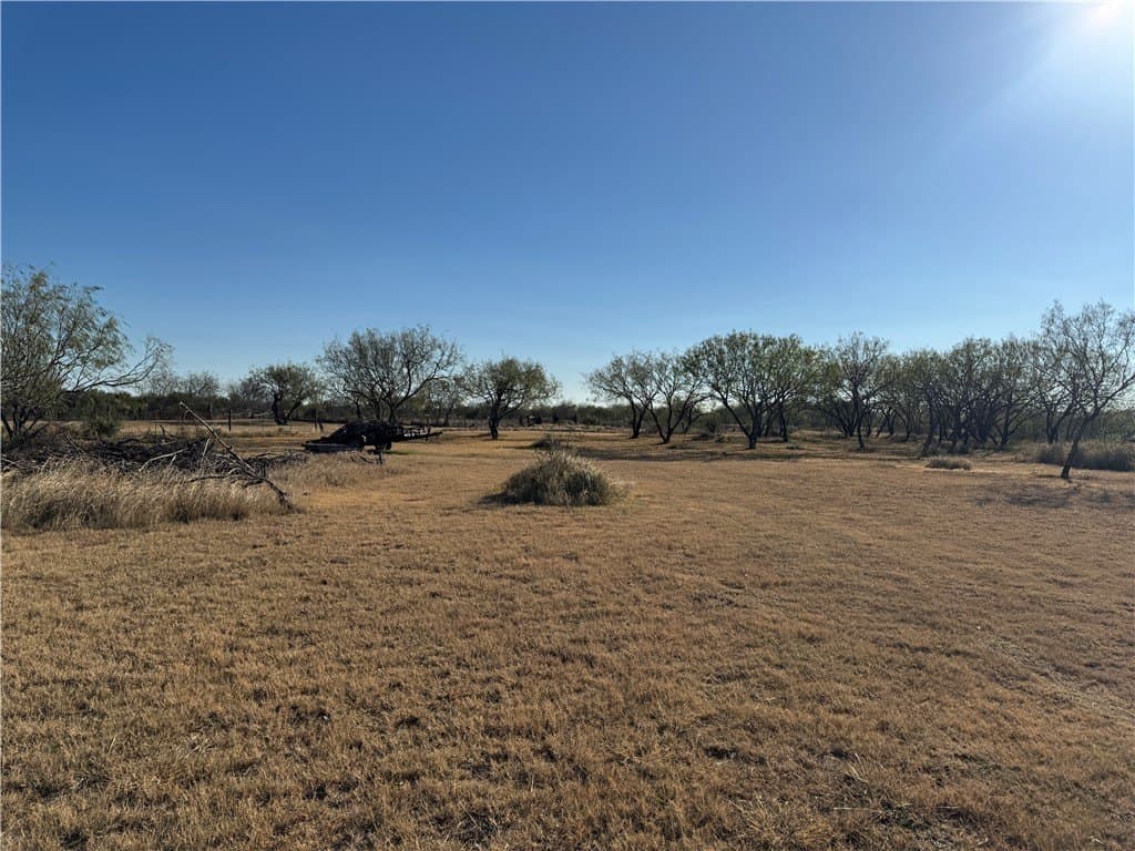 3.18 acres in San Patricio County - photo 9