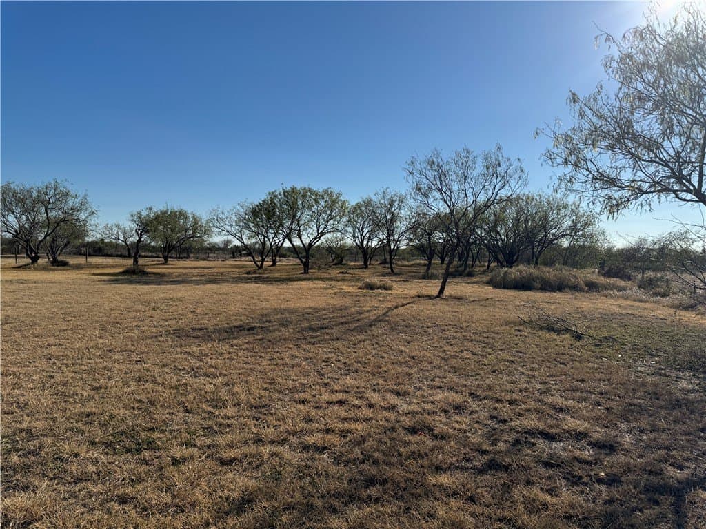 3.18 acres in San Patricio County - photo 10