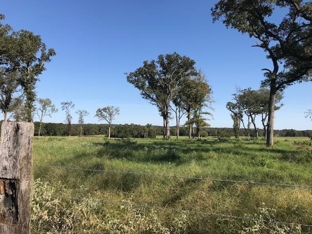 15.18 acres in Henderson County - photo 7