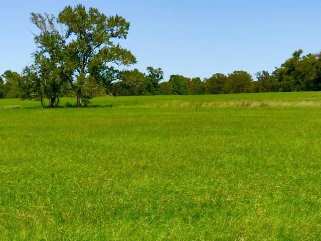 15.18 acres in Henderson County featured view
