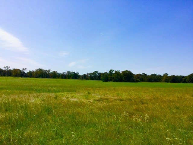 15.18 acres in Henderson County gallery image 3