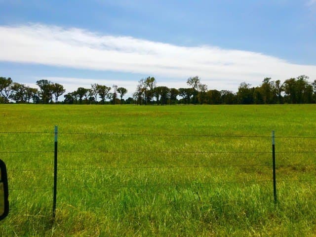 15.18 acres in Henderson County gallery image 4