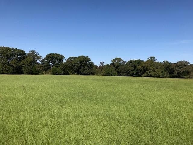 15.18 acres in Henderson County - photo 8
