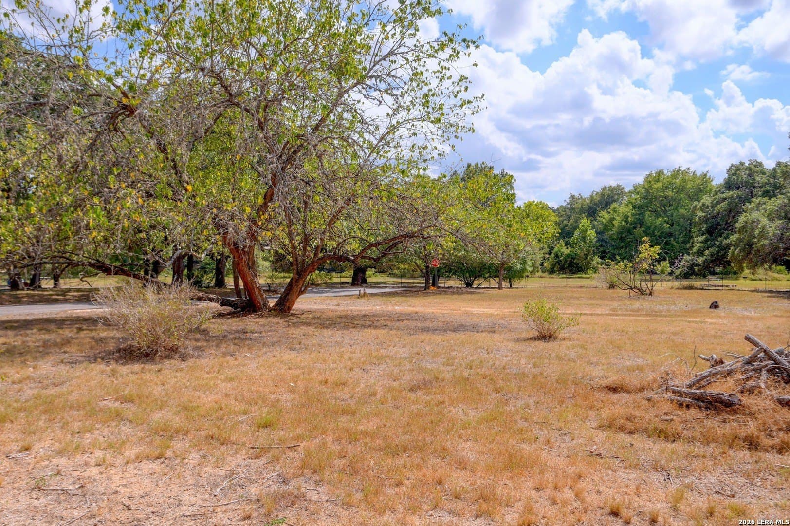 0.34 acres in Blanco County - photo 11