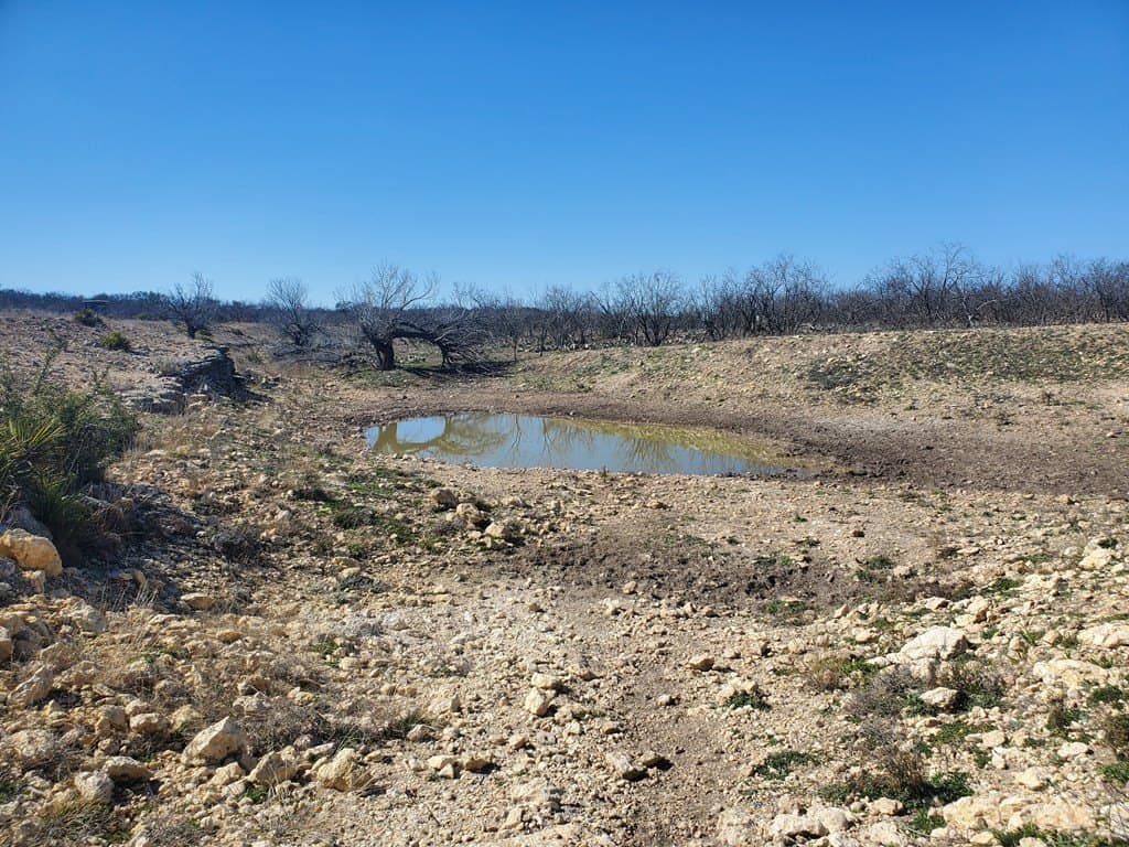 100.1 acres in Menard County - photo 9