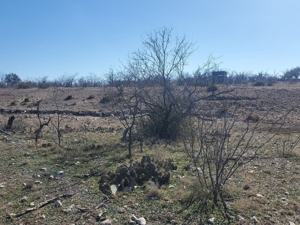 100.1 acres in Menard County - photo 11