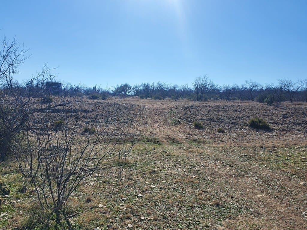 100.1 acres in Menard County - photo 10
