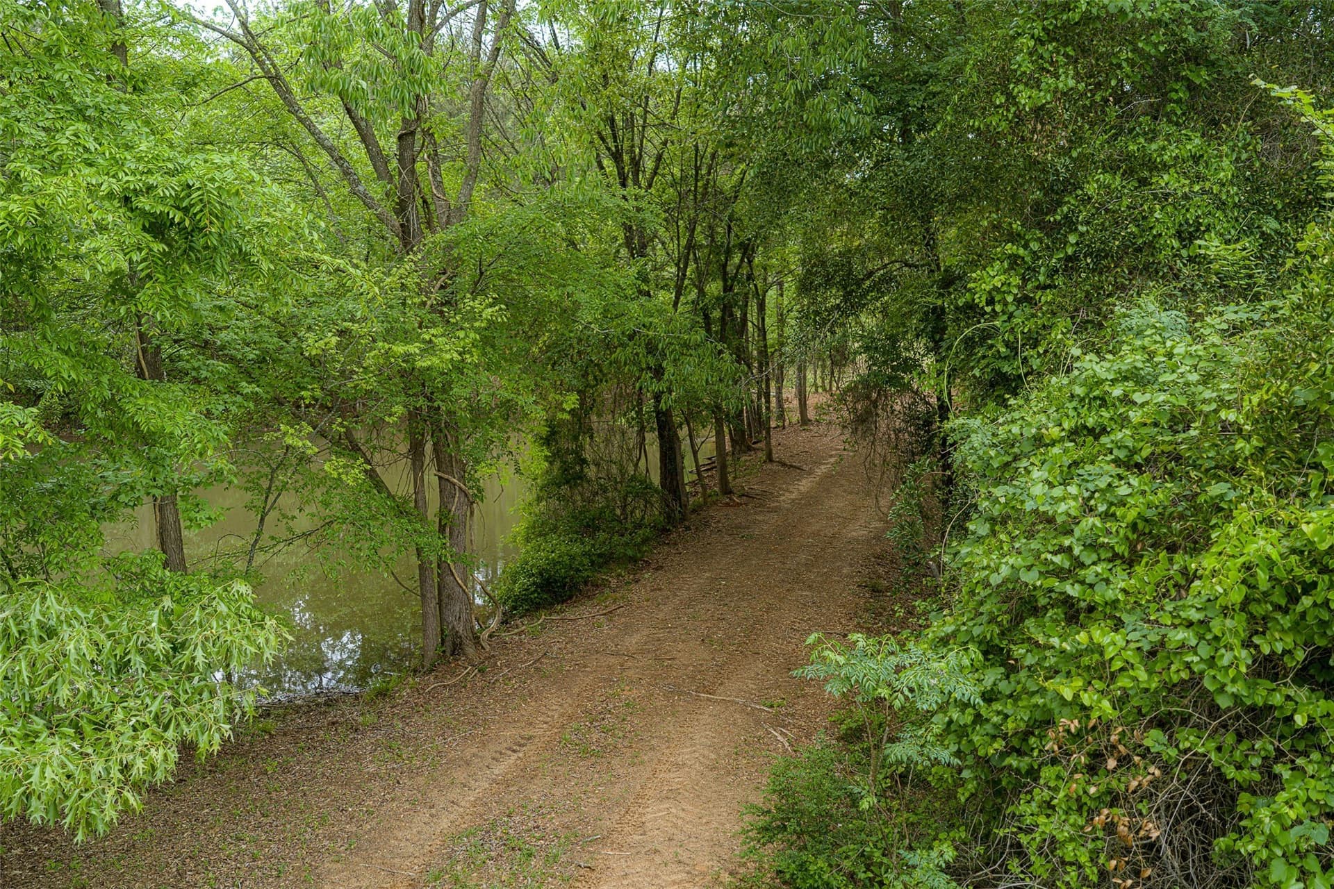 30.95 acres in Cherokee County - photo 5