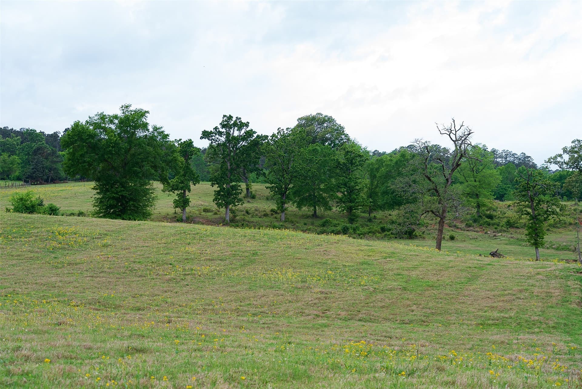 30.95 acres in Cherokee County - photo 24