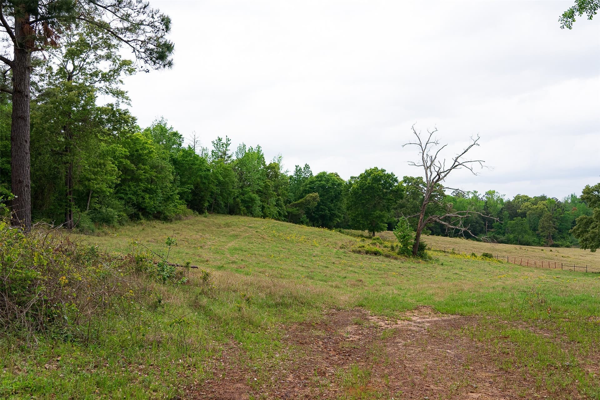 30.95 acres in Cherokee County - photo 34
