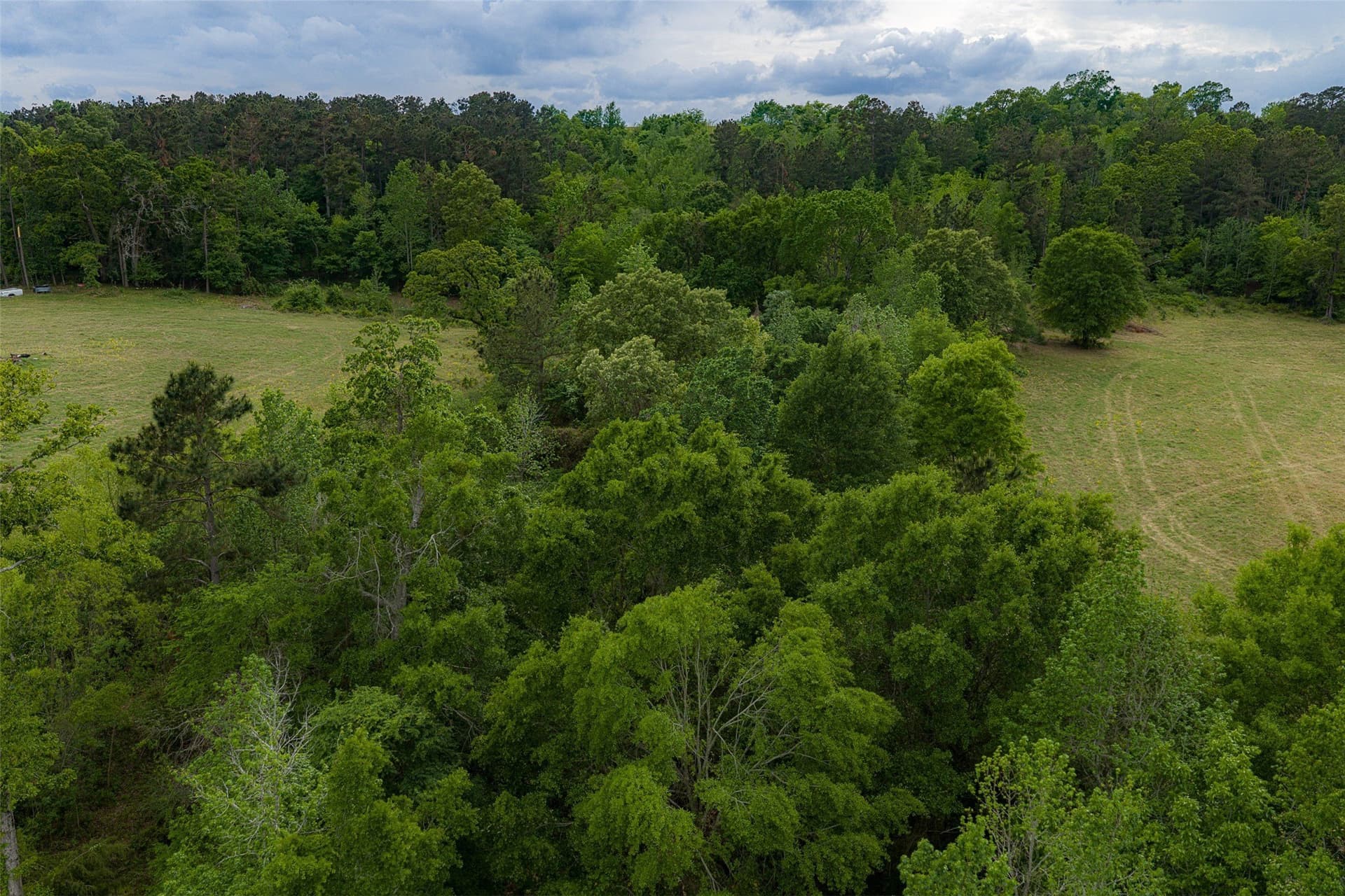 30.95 acres in Cherokee County - photo 9