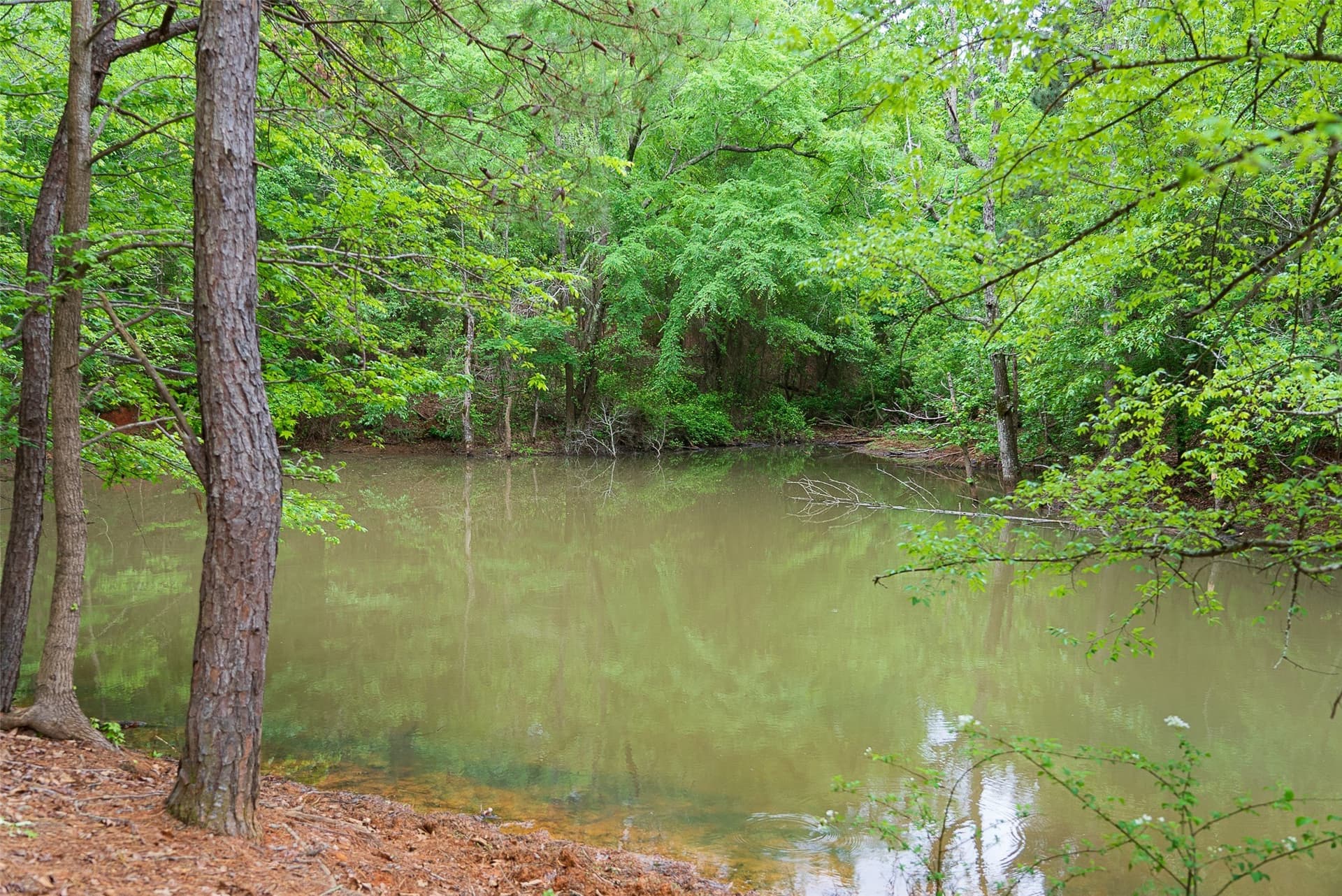 30.95 acres in Cherokee County - photo 6