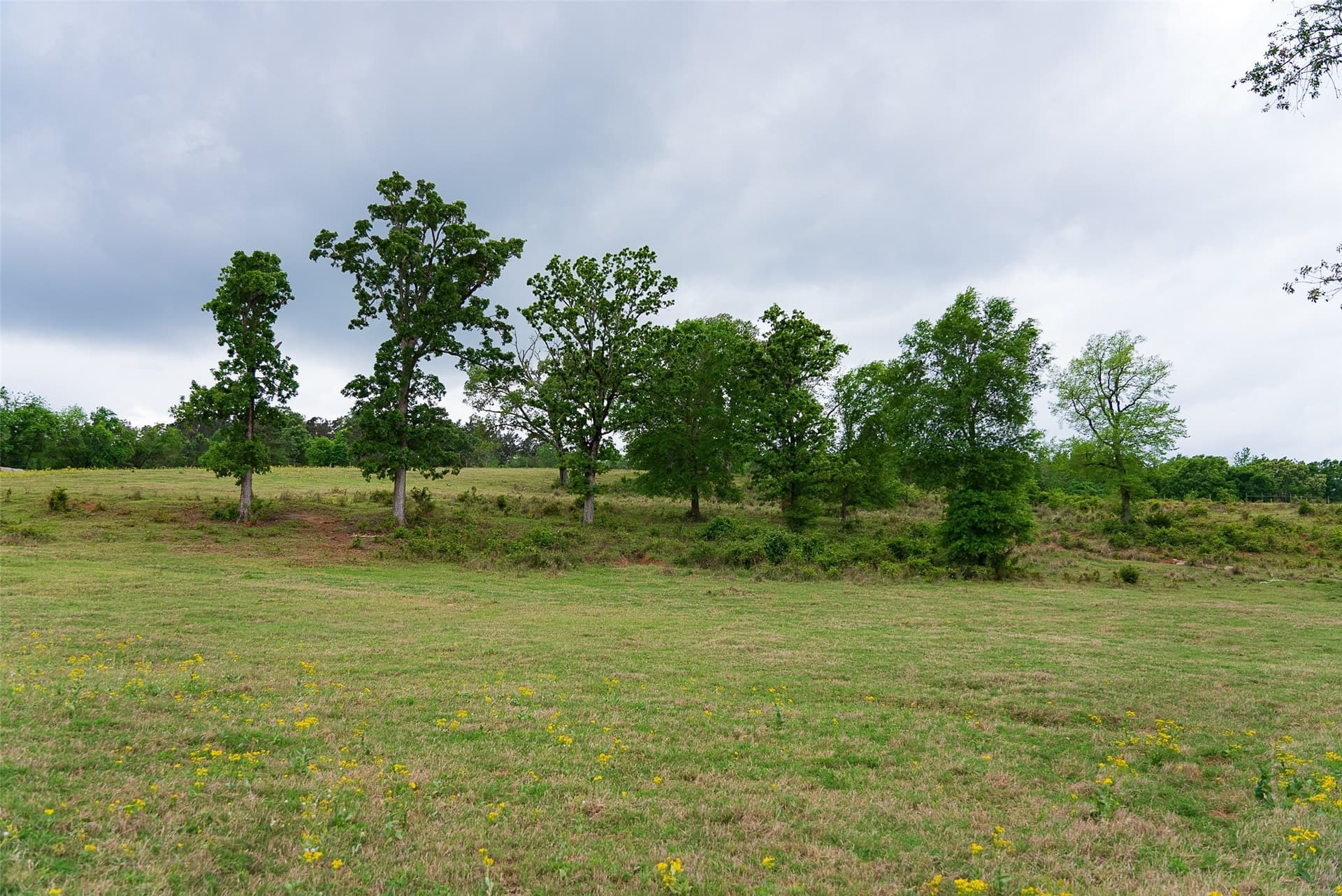 30.95 acres in Cherokee County - photo 37