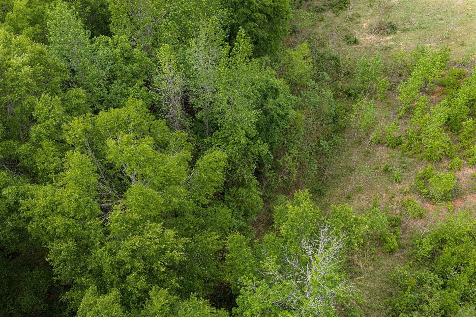 30.95 acres in Cherokee County - photo 22