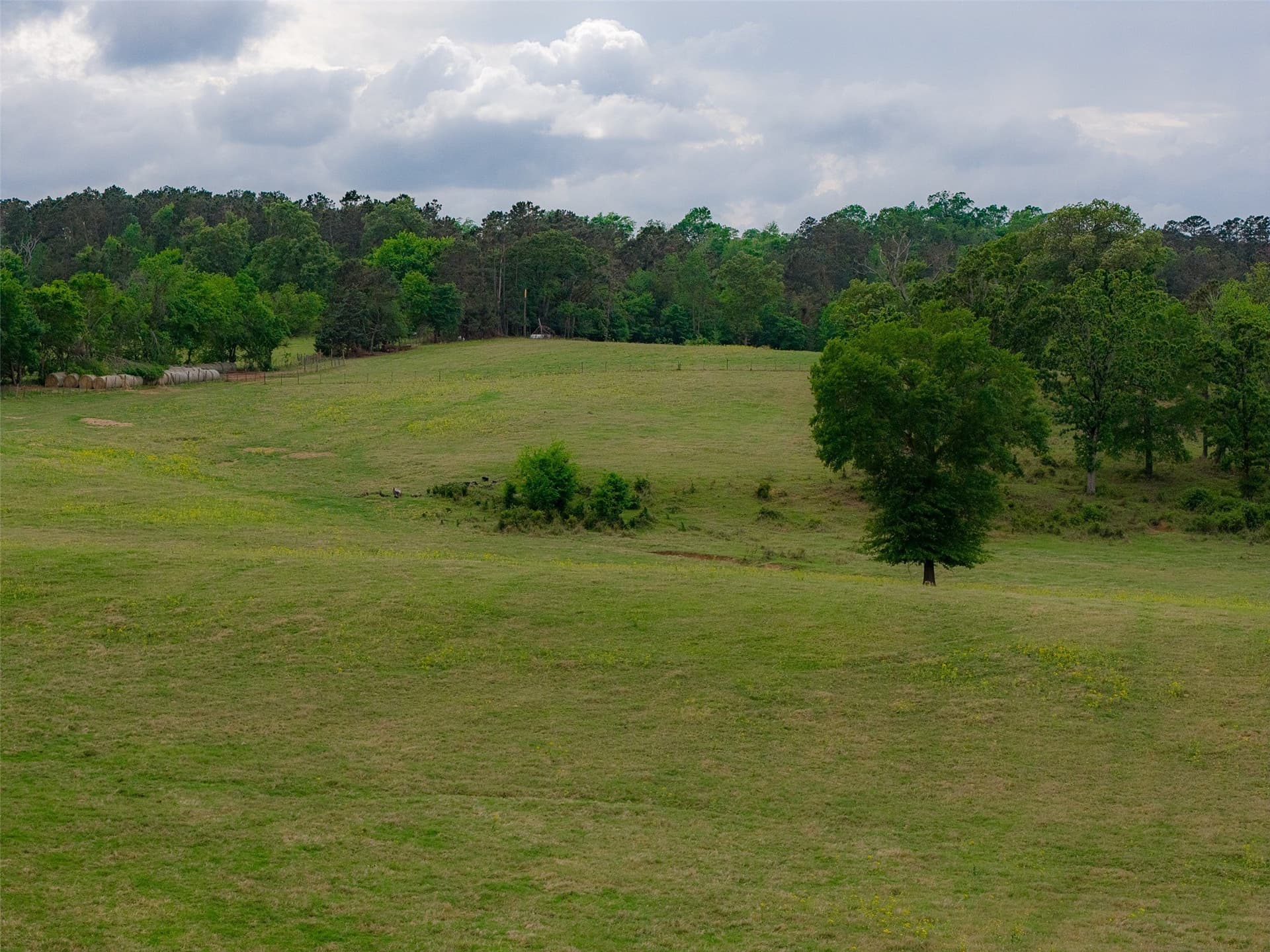 30.95 acres in Cherokee County - photo 12