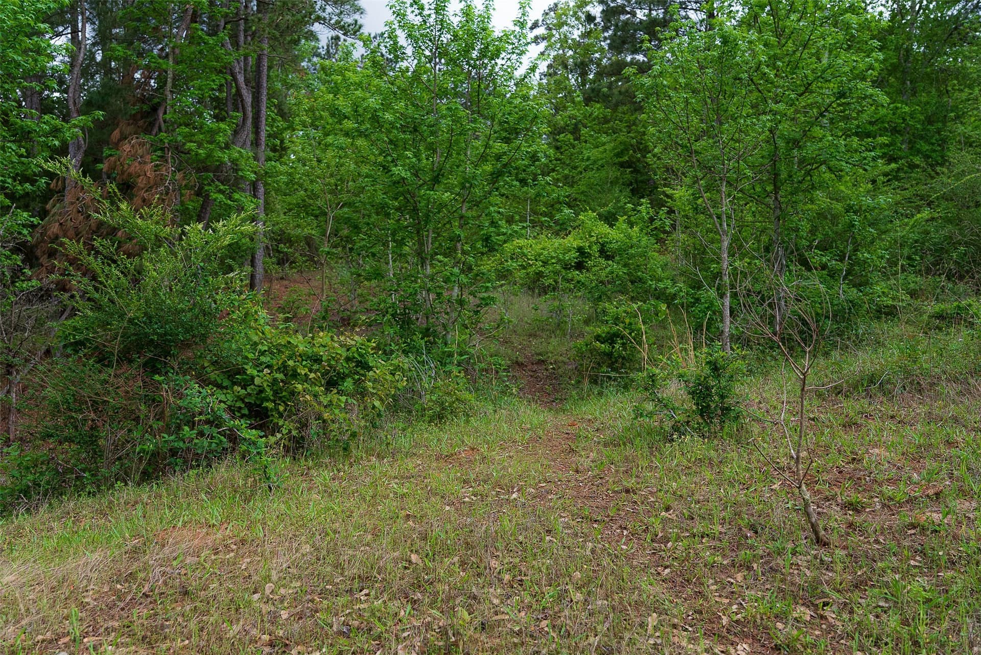 30.95 acres in Cherokee County - photo 27