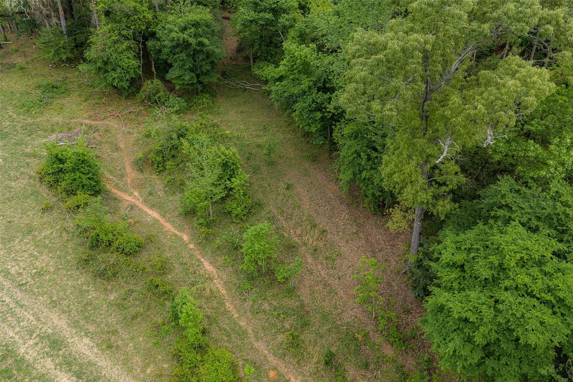 30.95 acres in Cherokee County - photo 14