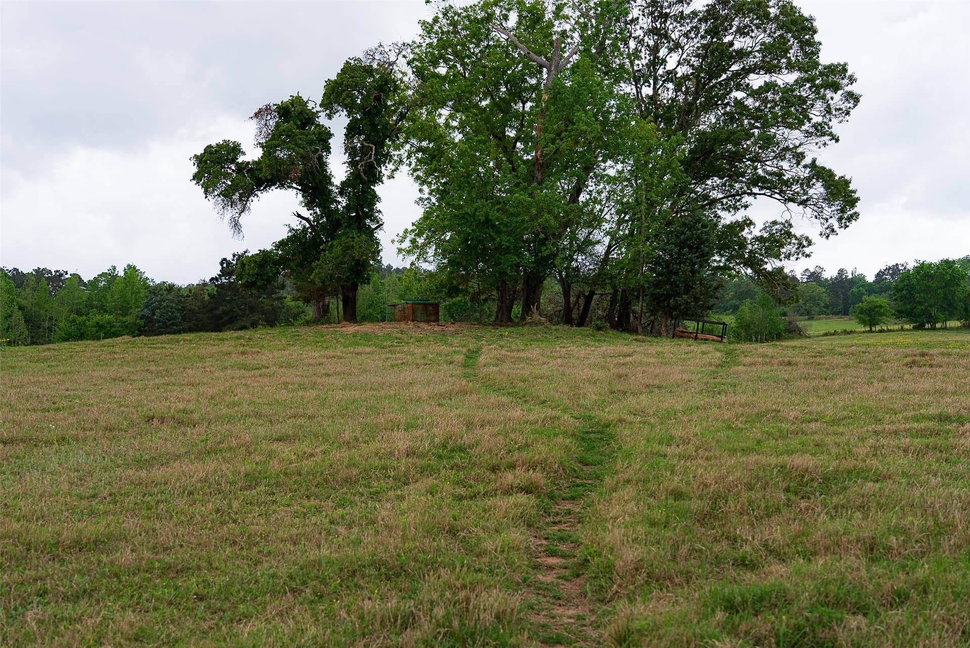 30.95 acres in Cherokee County - photo 35