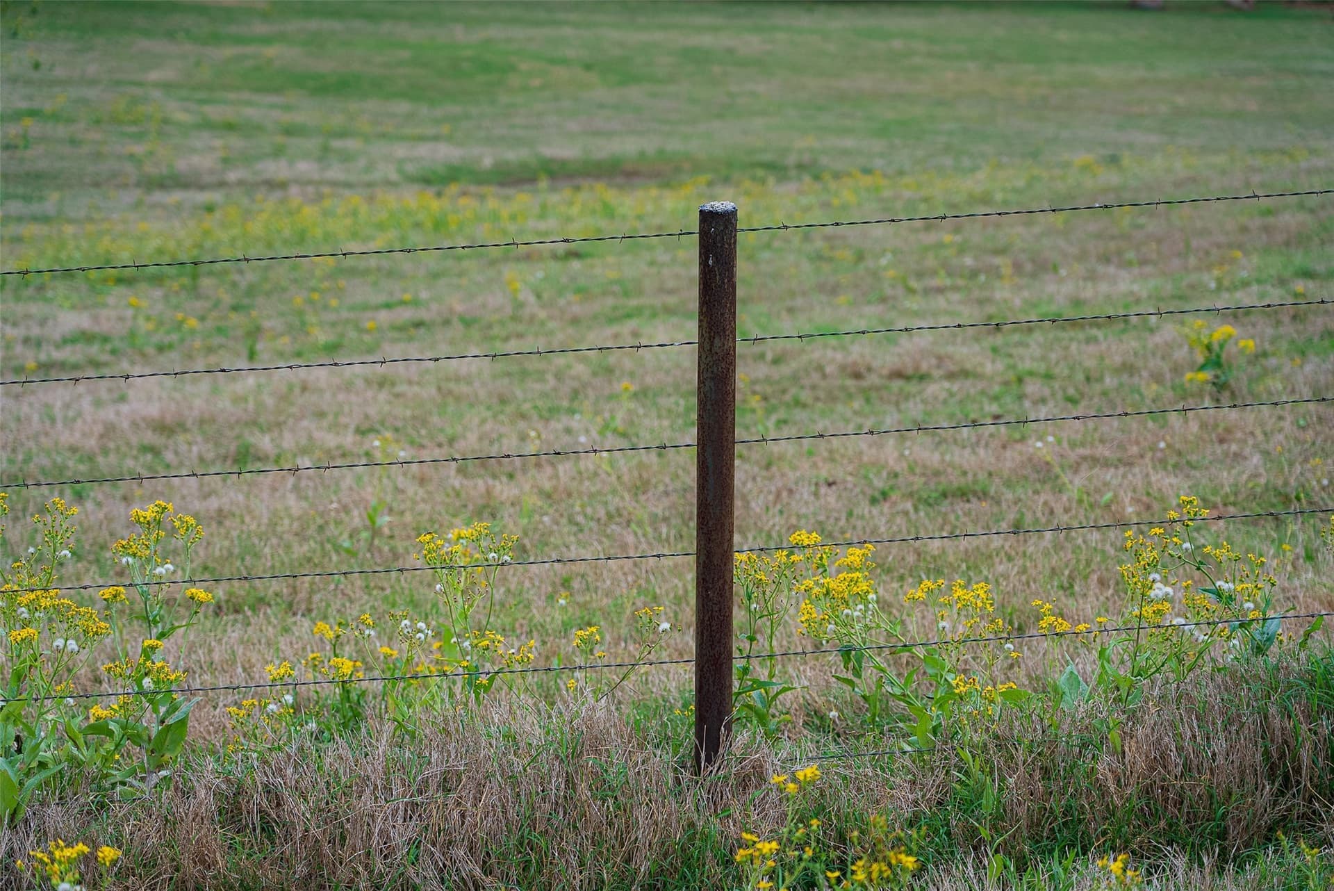30.95 acres in Cherokee County - photo 19