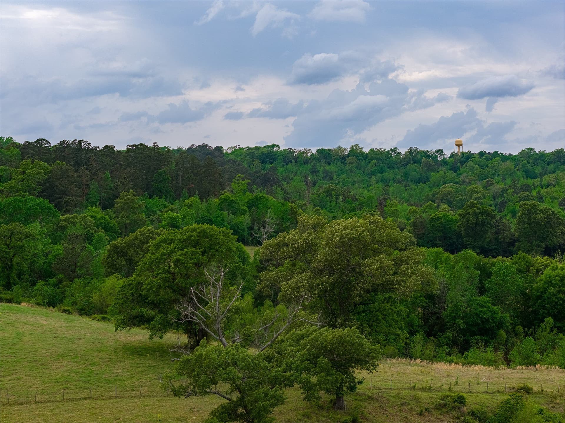 30.95 acres in Cherokee County - photo 11