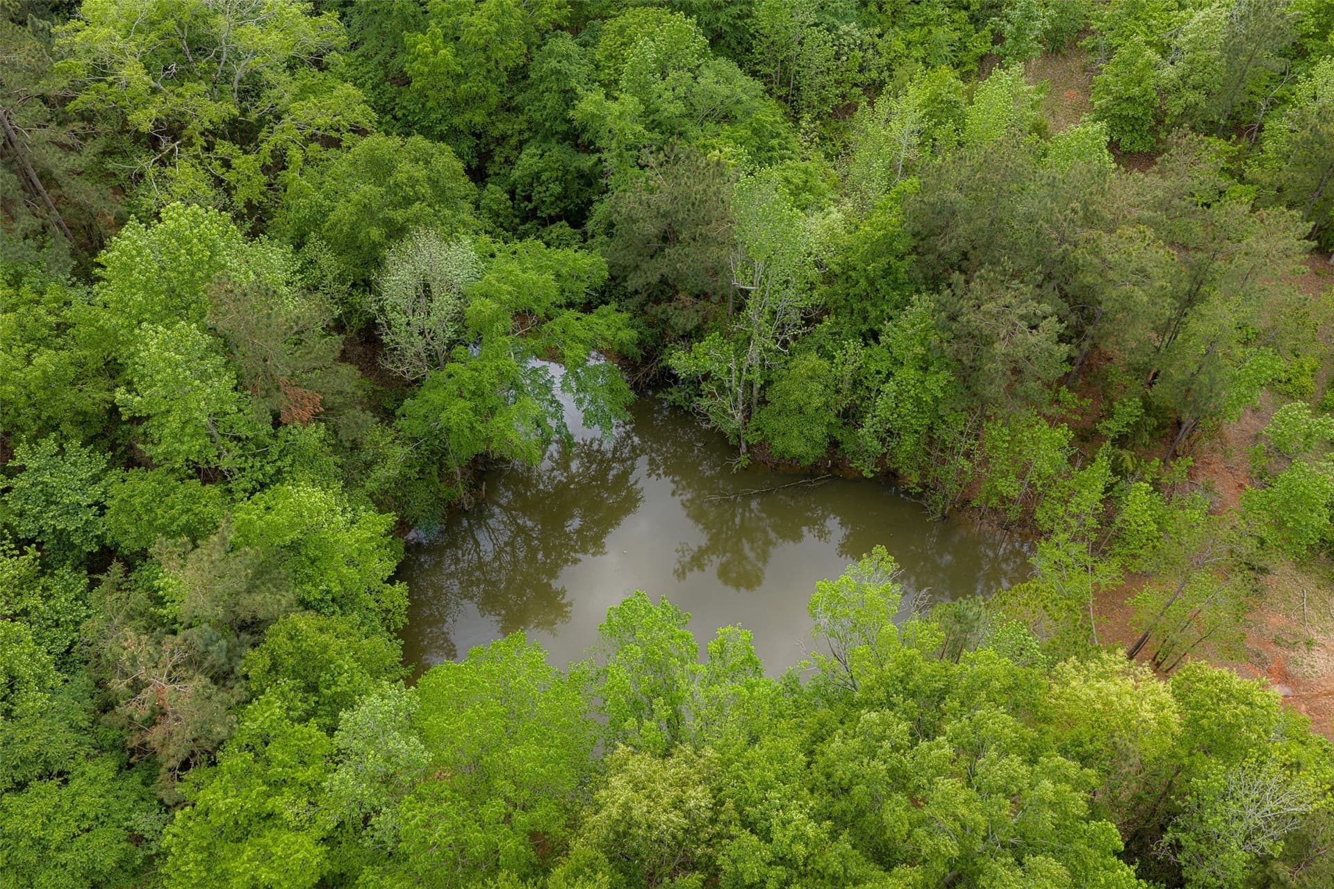30.95 acres in Cherokee County - photo 32