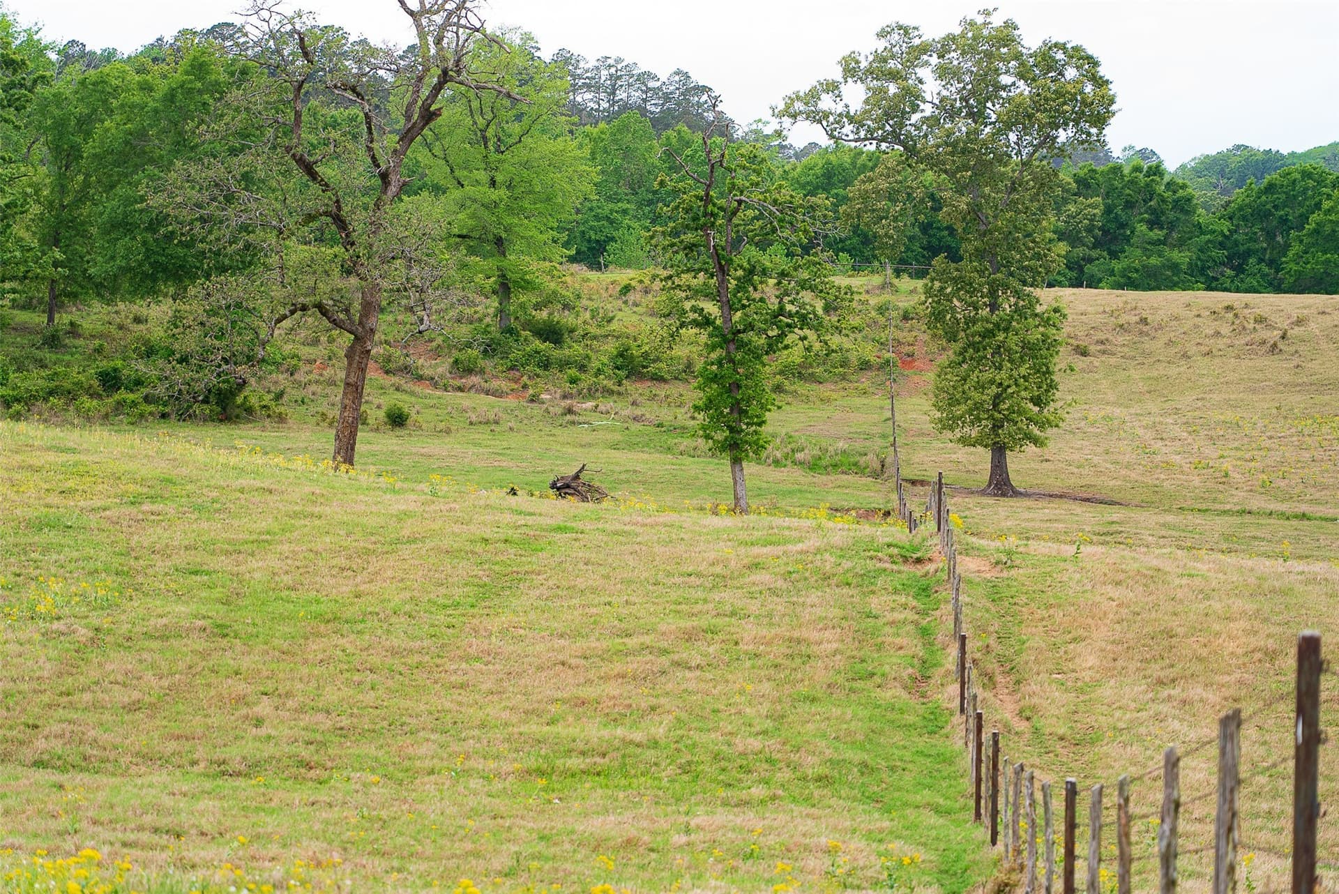 30.95 acres in Cherokee County - photo 20