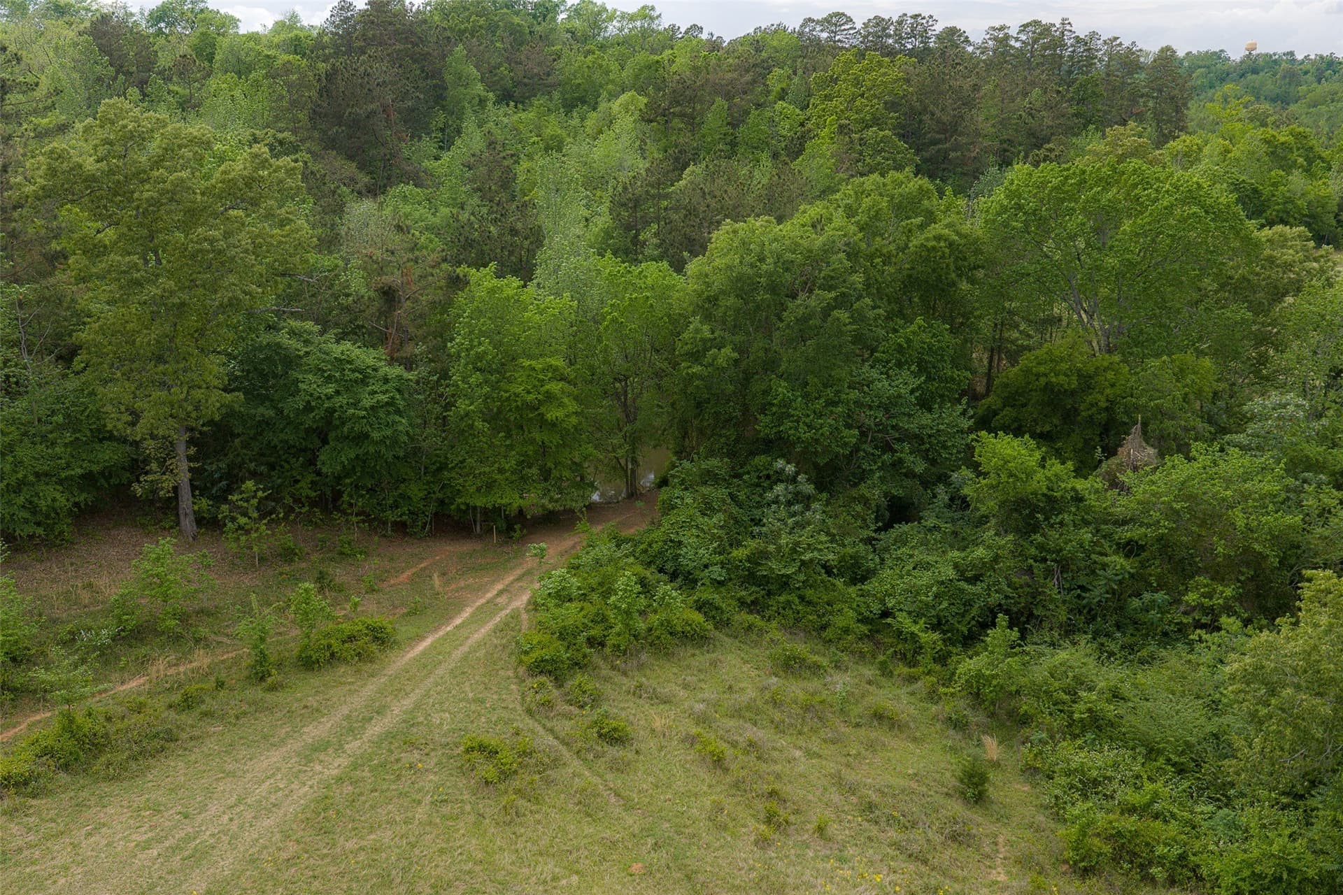 30.95 acres in Cherokee County - photo 25