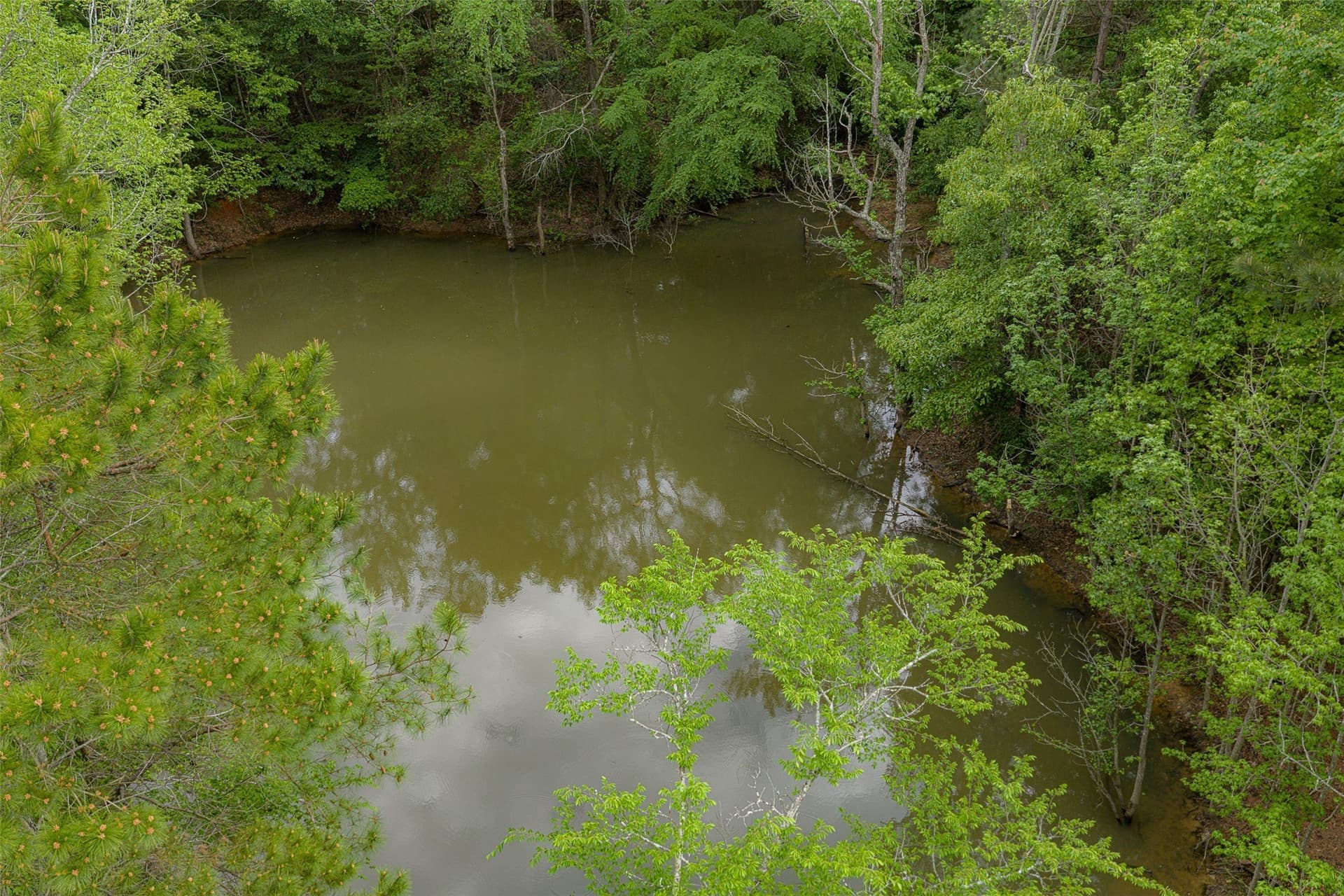 30.95 acres in Cherokee County - photo 26
