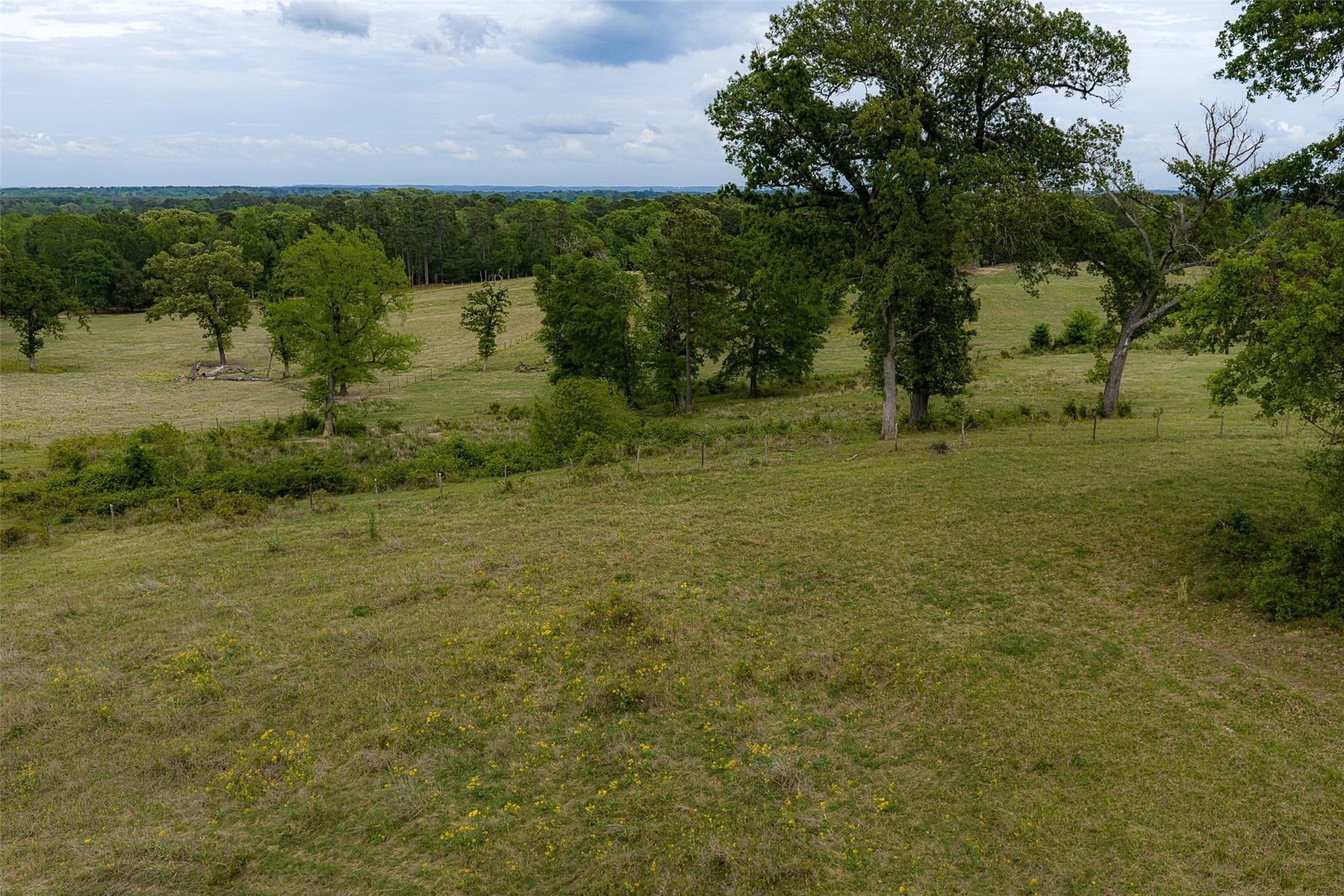 30.95 acres in Cherokee County - photo 2