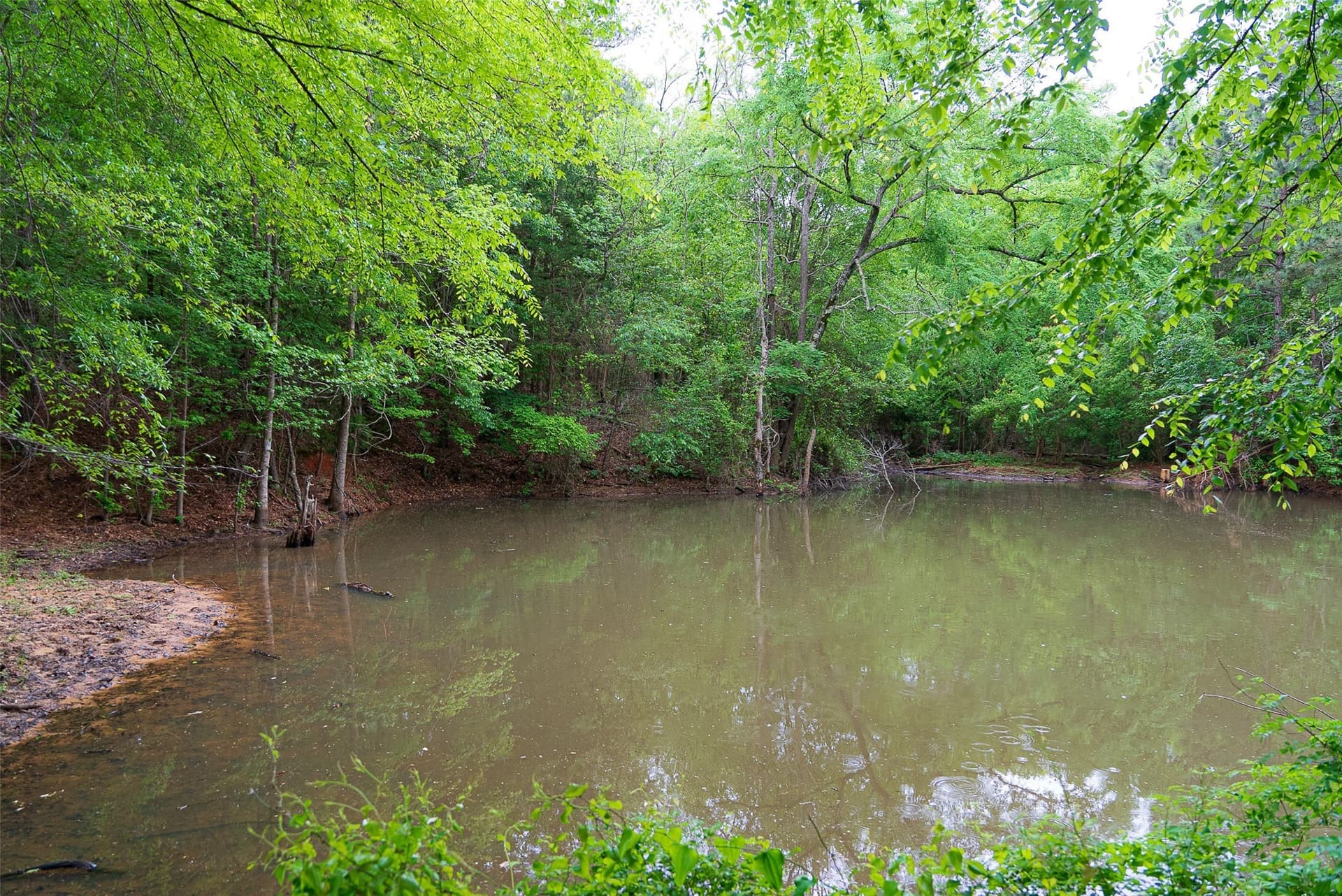 30.95 acres in Cherokee County - photo 15