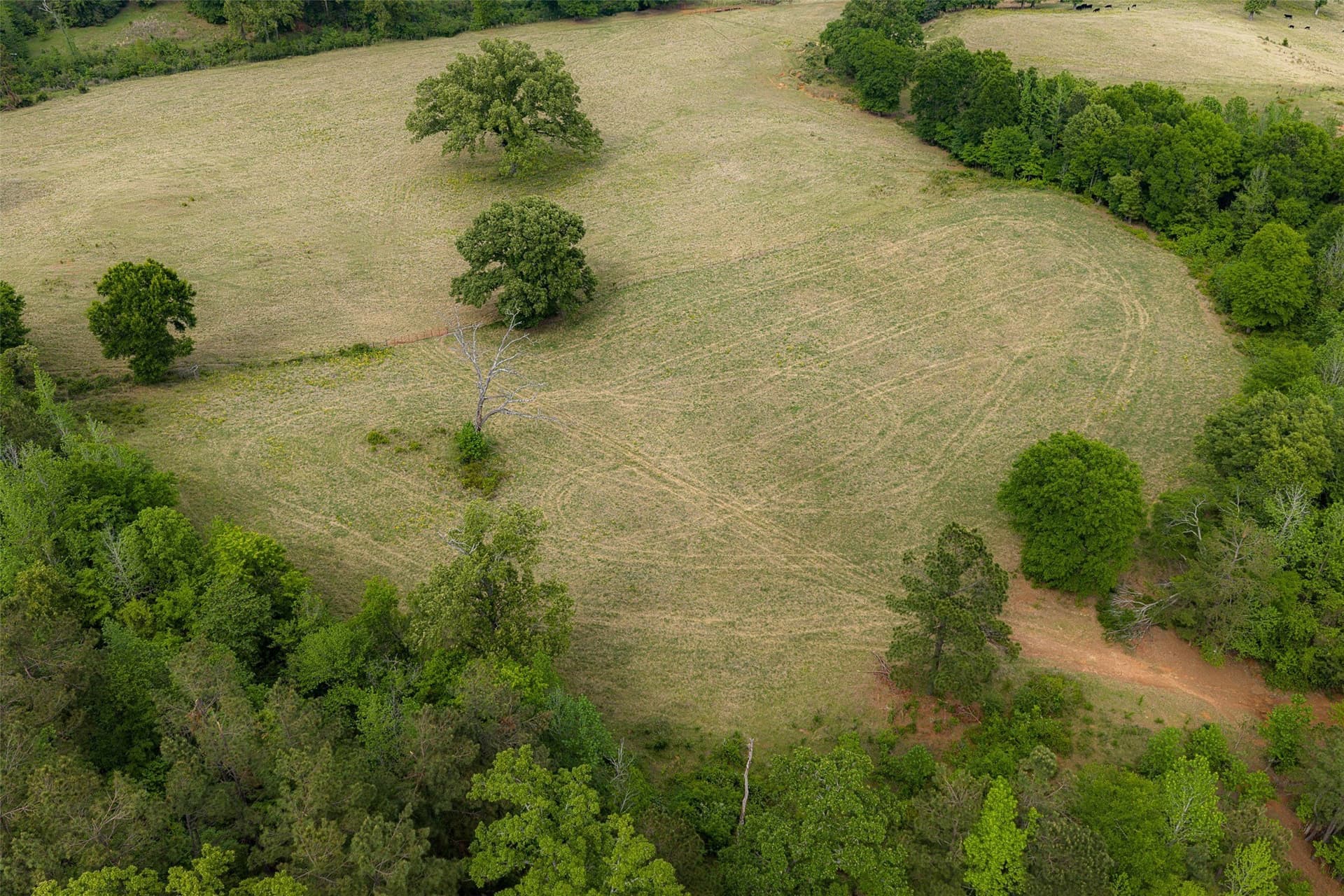 30.95 acres in Cherokee County - photo 28