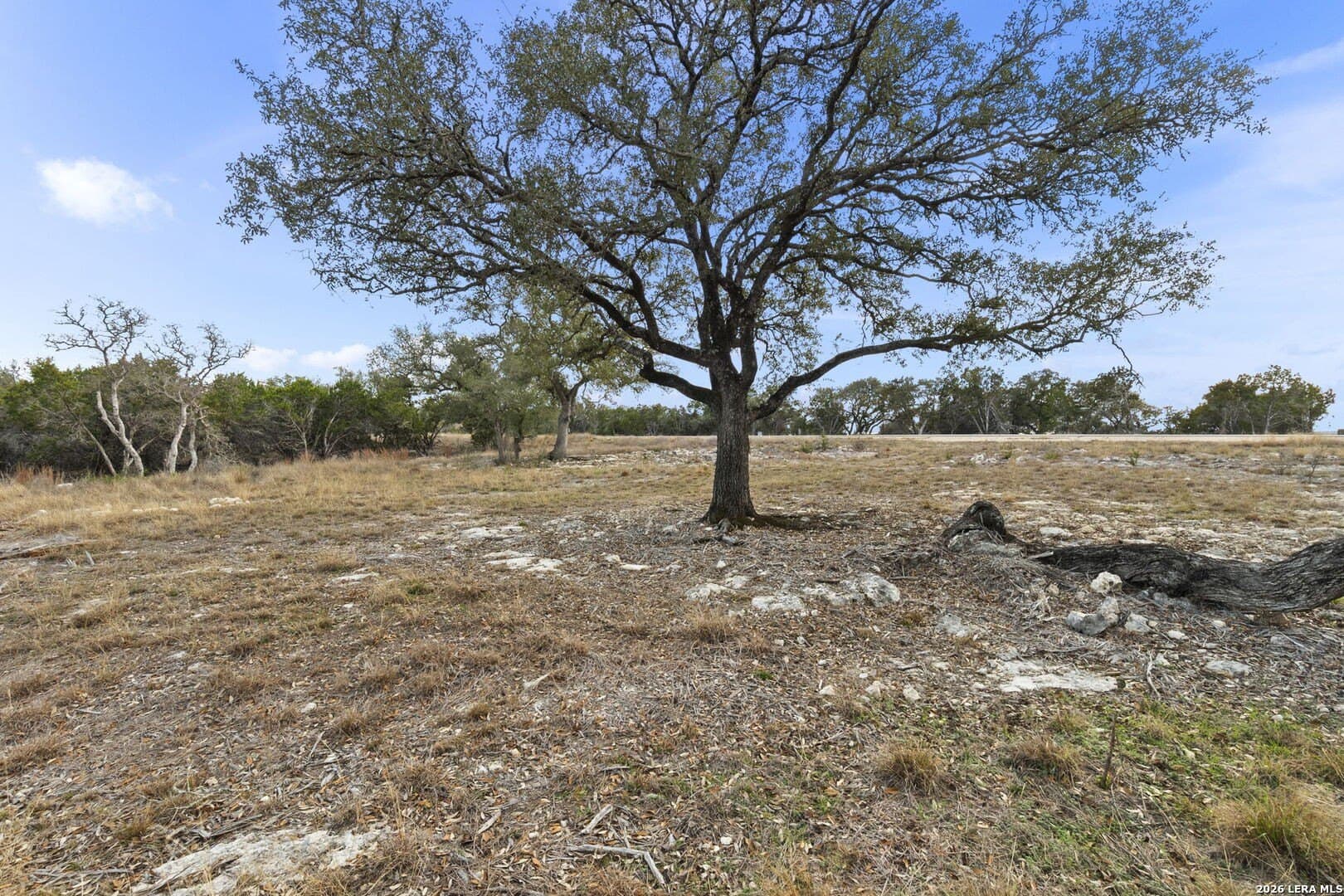 1.21 acres in Comal County - photo 13