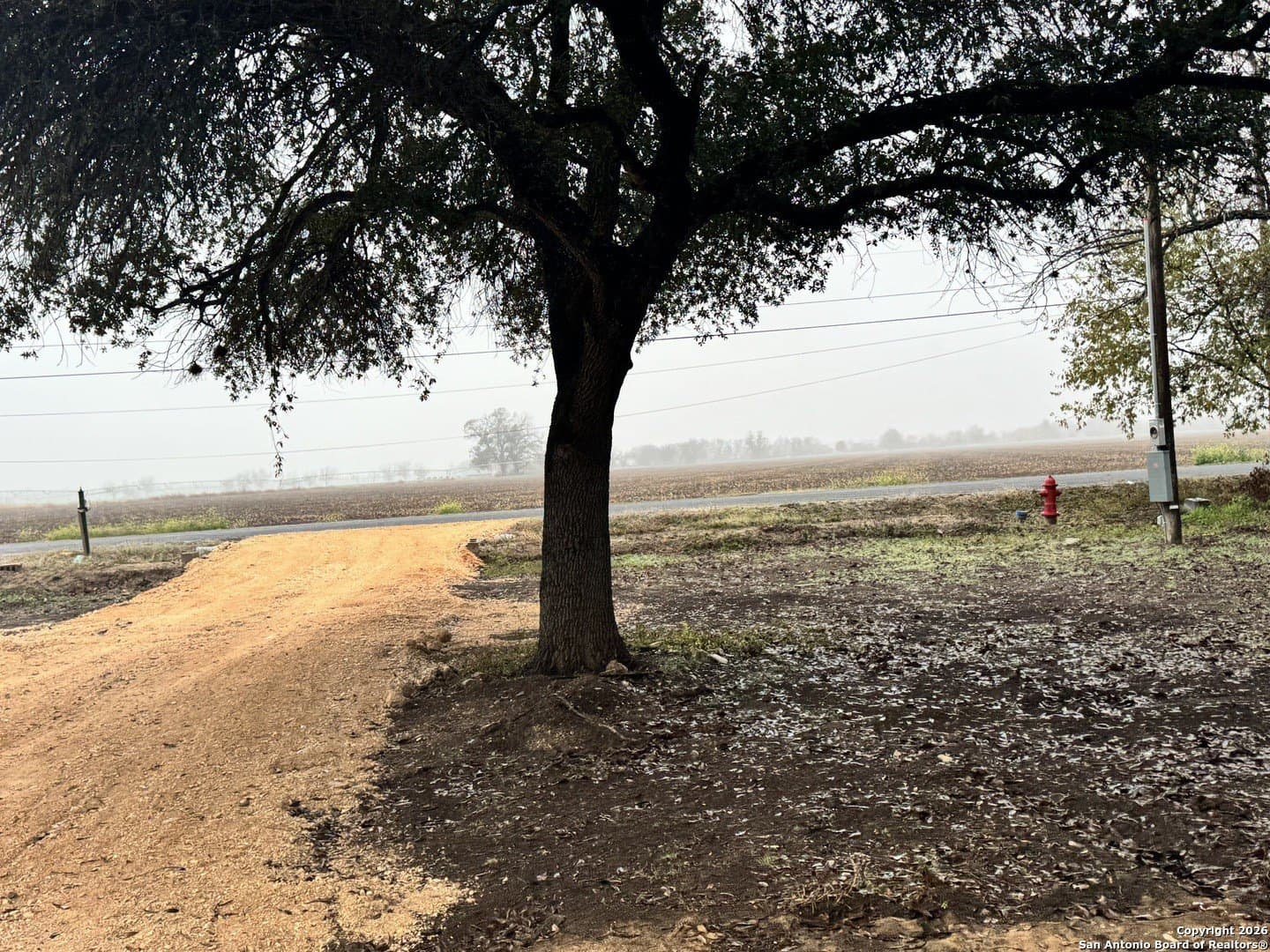 0.29 acres in Bexar County gallery image 2