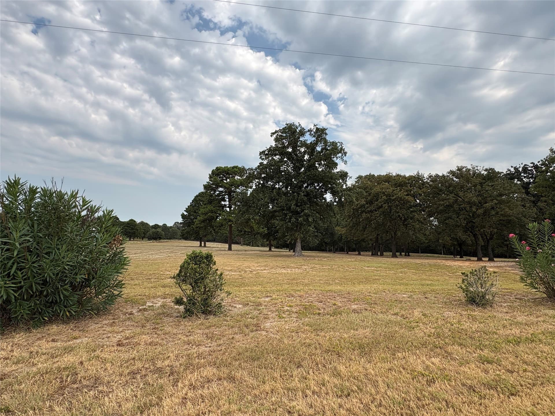 10.03 acres in Anderson County - photo 25