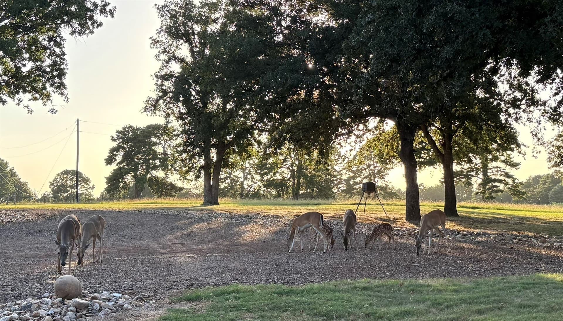 10.03 acres in Anderson County - photo 4