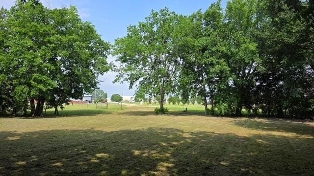 3.73 acres in Fannin County - photo 3