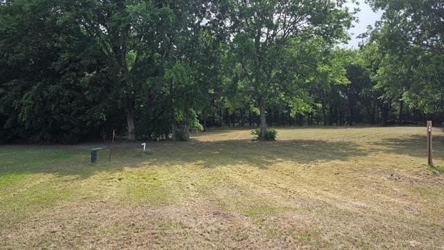 3.73 acres in Fannin County - photo 5