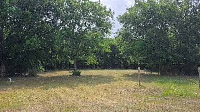 3.73 acres in Fannin County - photo 4
