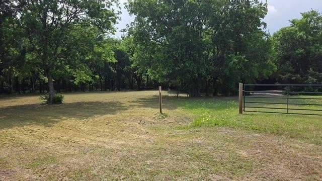 3.73 acres in Fannin County - photo 6