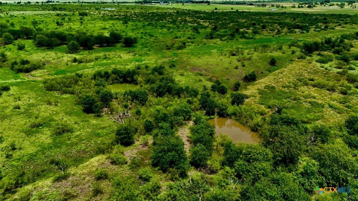 37.02 acres in Bell County - photo 19