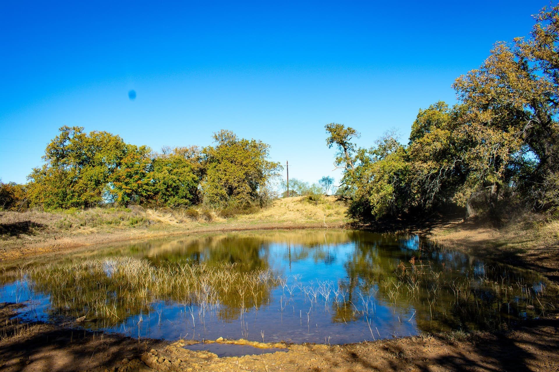 38.83 acres in San Saba County - photo 7