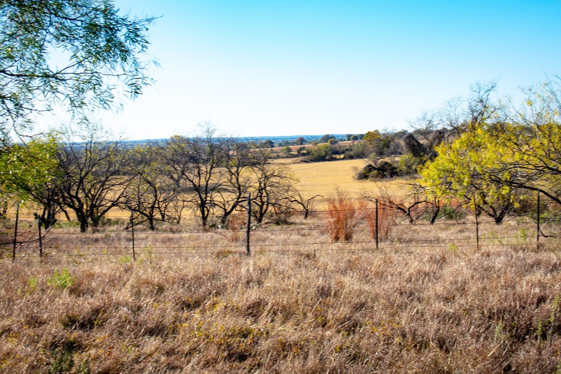 38.83 acres in San Saba County - photo 6